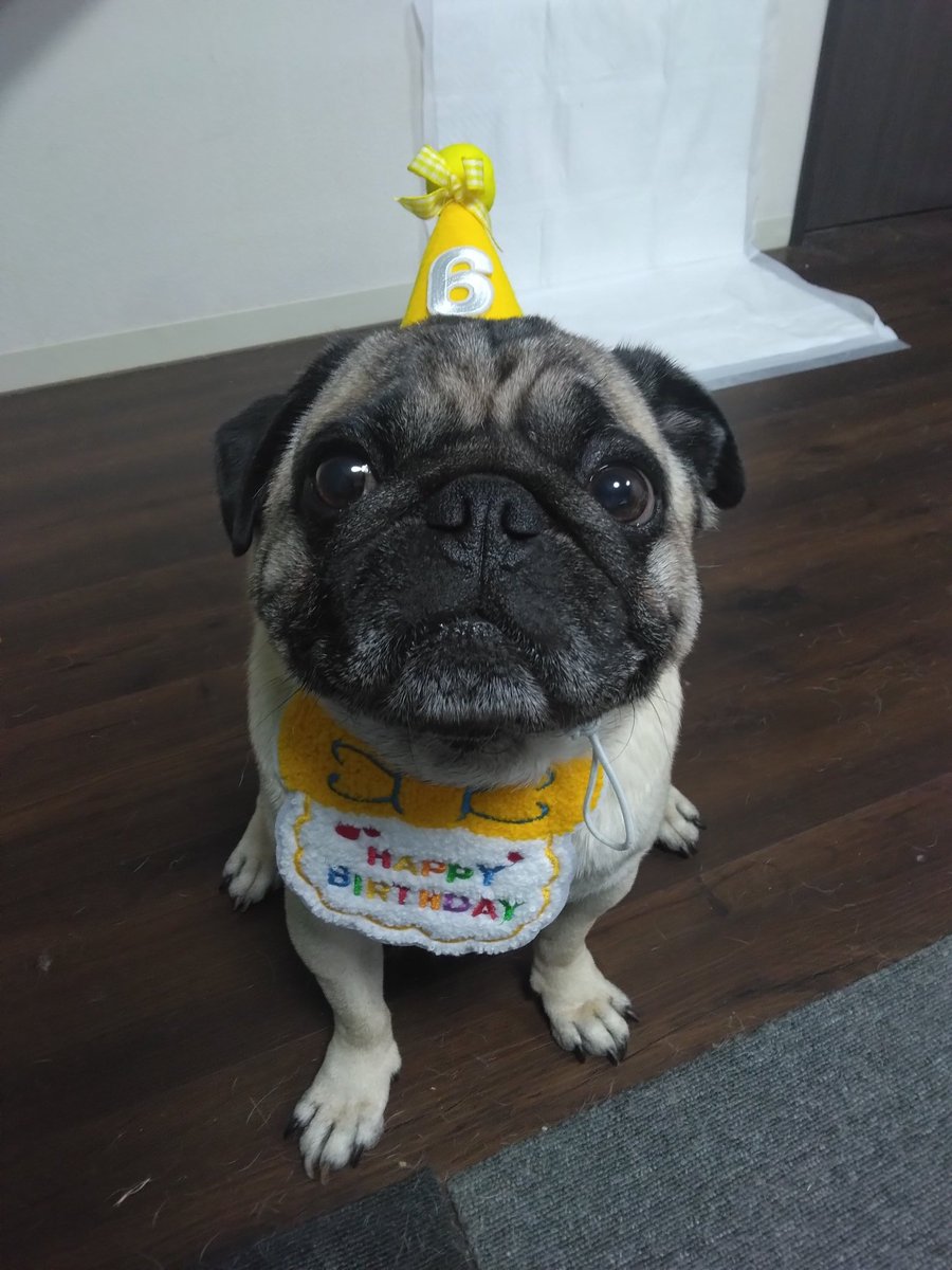 かおぽん tweet media