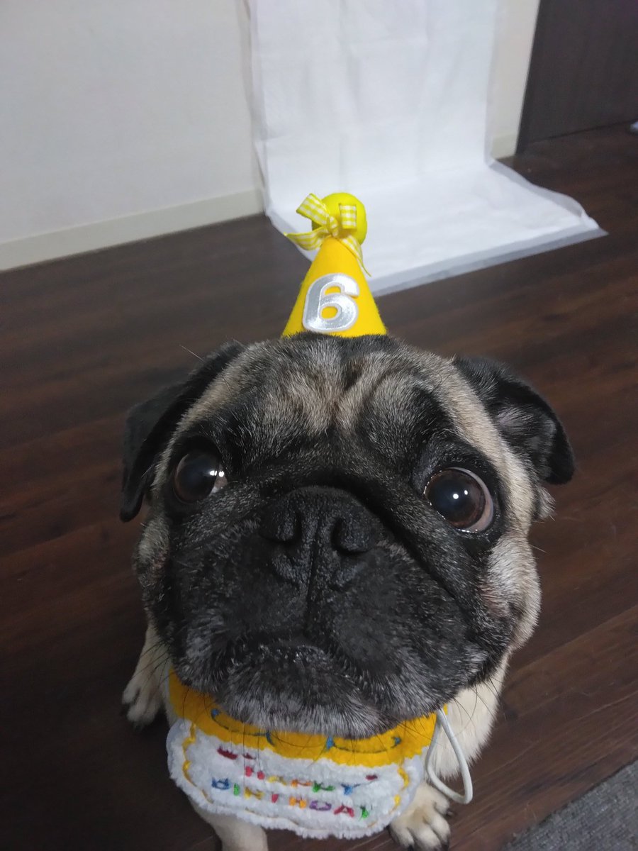 かおぽん tweet media