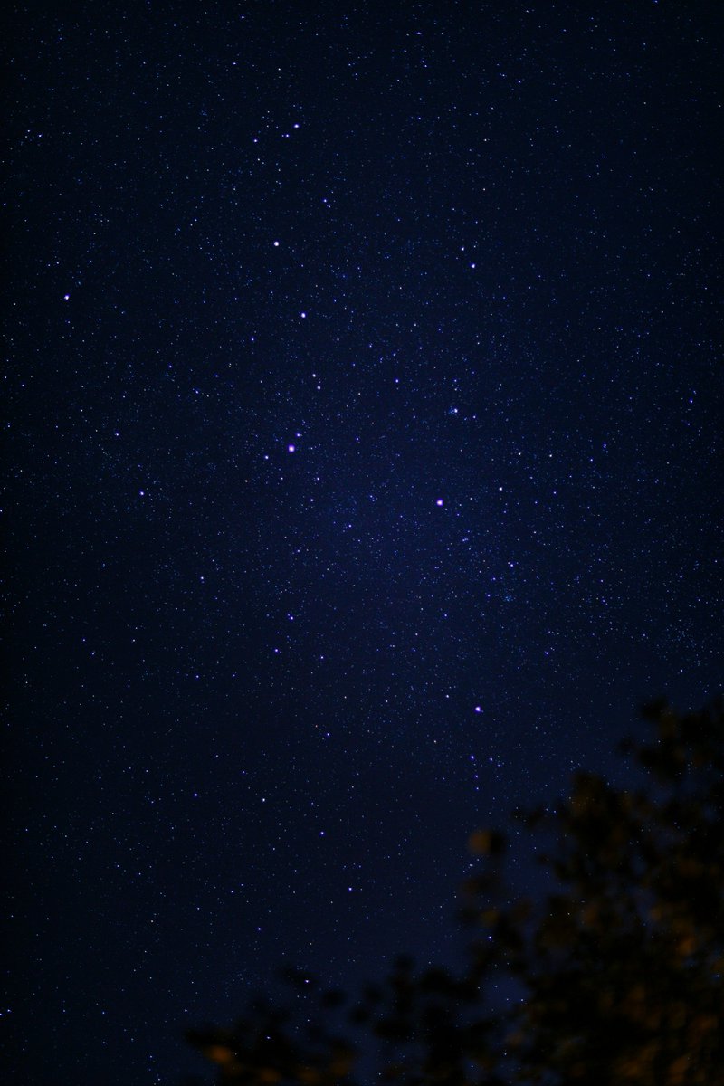 Space 8K tweet media