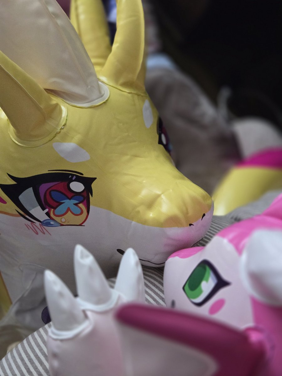 ロホ・ハンセル tweet media