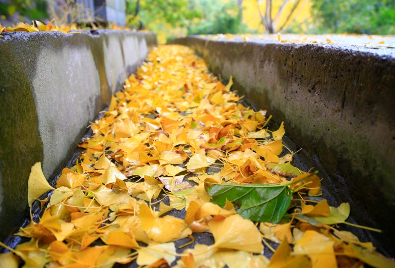 Jek Barde tweet media