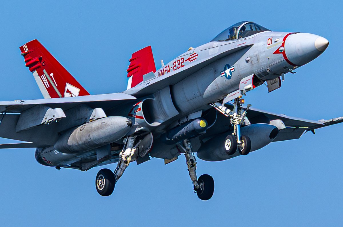 カリス（は湯たんぽ使用中？） tweet media