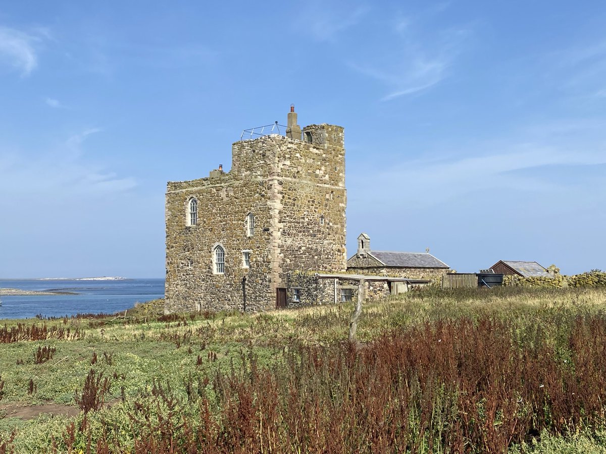 SteelySeabirder's tweet photo. On St.Cuthberts day, it’s a good time to share this. A short article about Farnes life written by ex-Farnes ranger Emma Witcutt. Well worth a read: https://t.co/ipETgC7Hh7 https://t.co/X6dhG0amMv