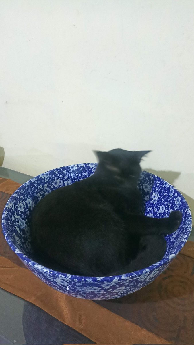 Tidur                                     bangun dan kzl