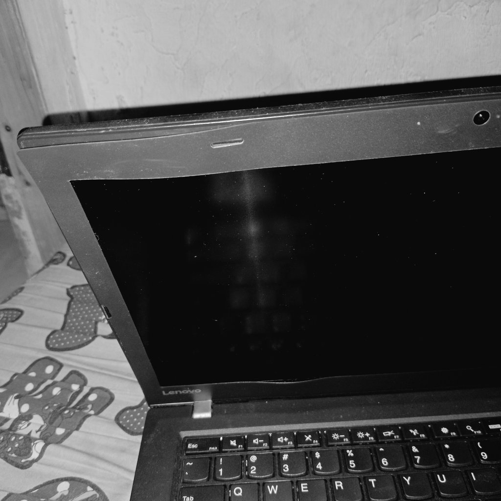 floree GA layout 📌 tweet media