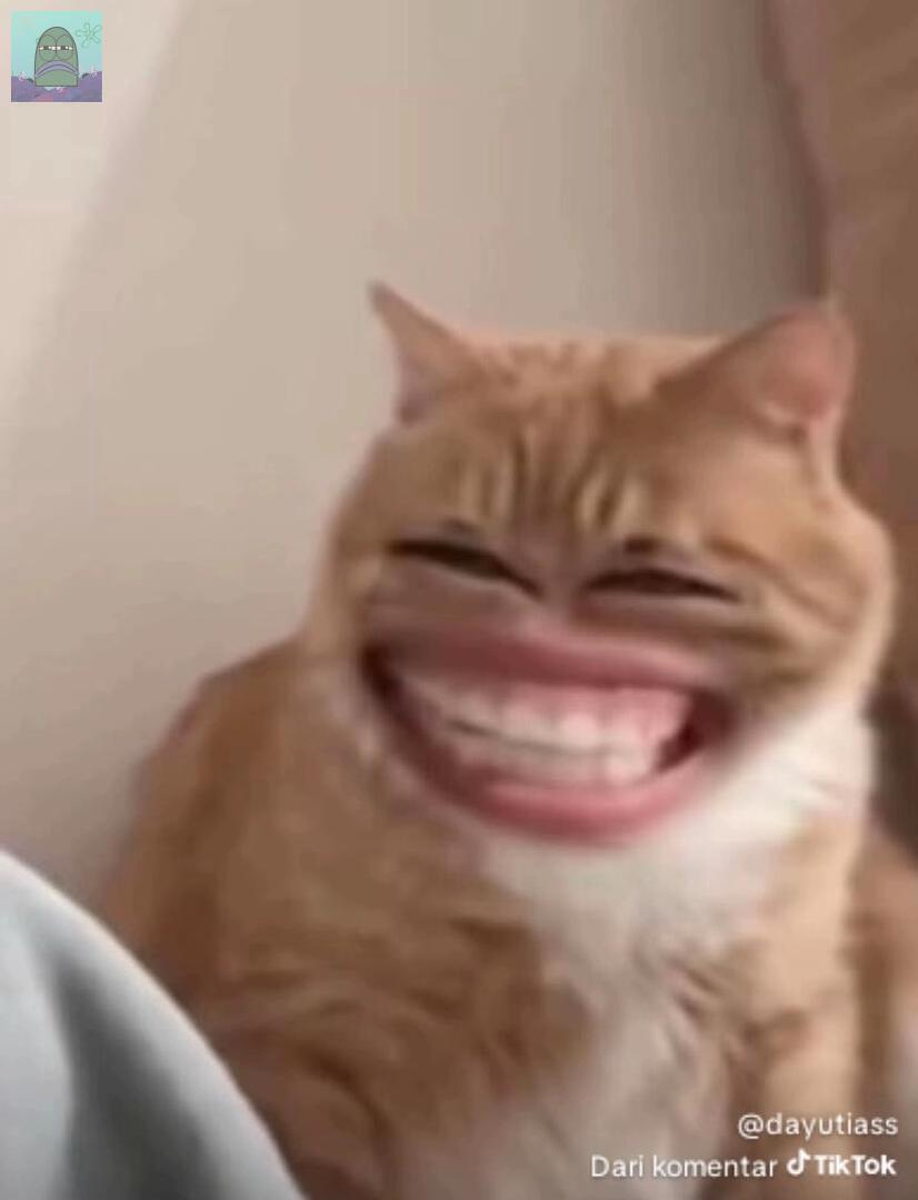 Tanyarl 💚 tweet media