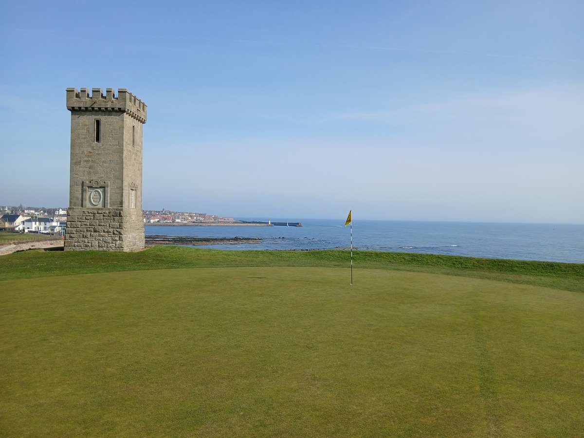 David Poulton tweet media