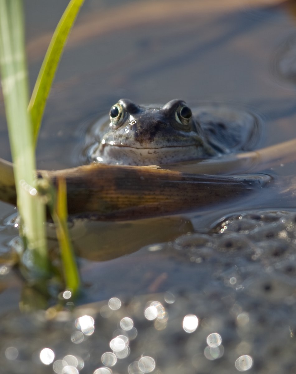 Glasgow City Council tweet media