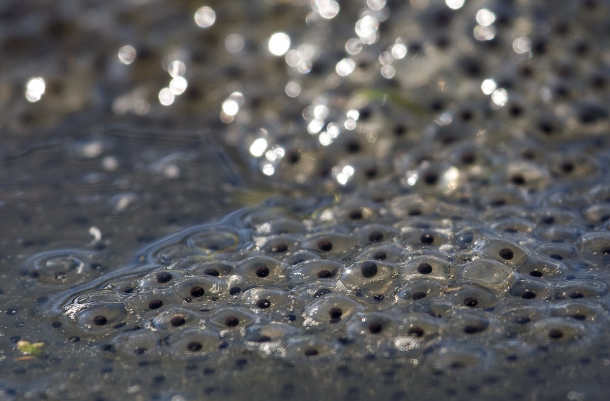 Glasgow City Council tweet media