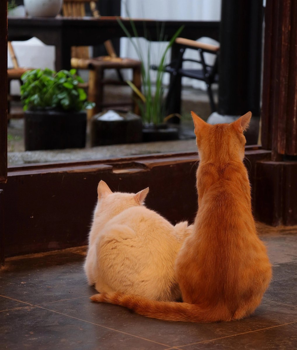 Megan Jacob tweet media