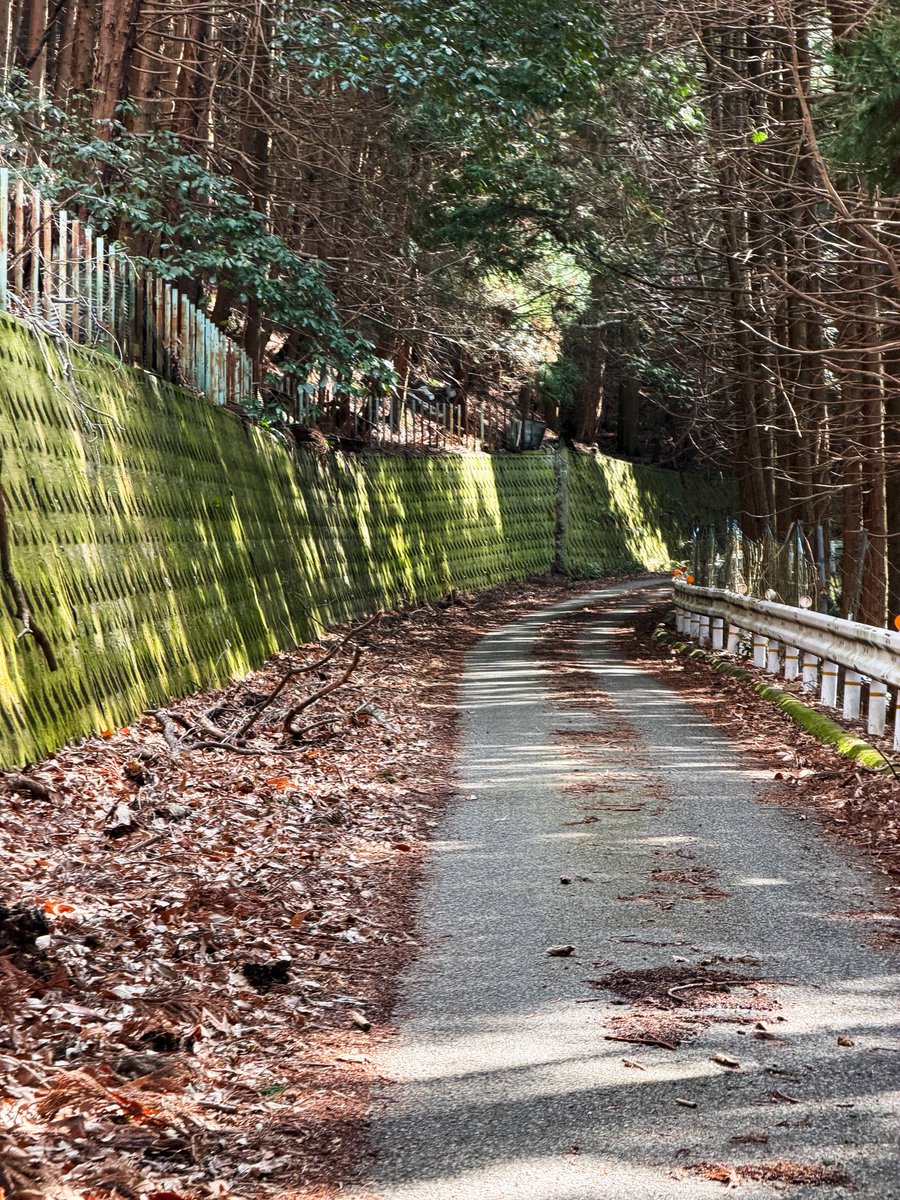 Kei Tsuji / 辻啓 tweet media