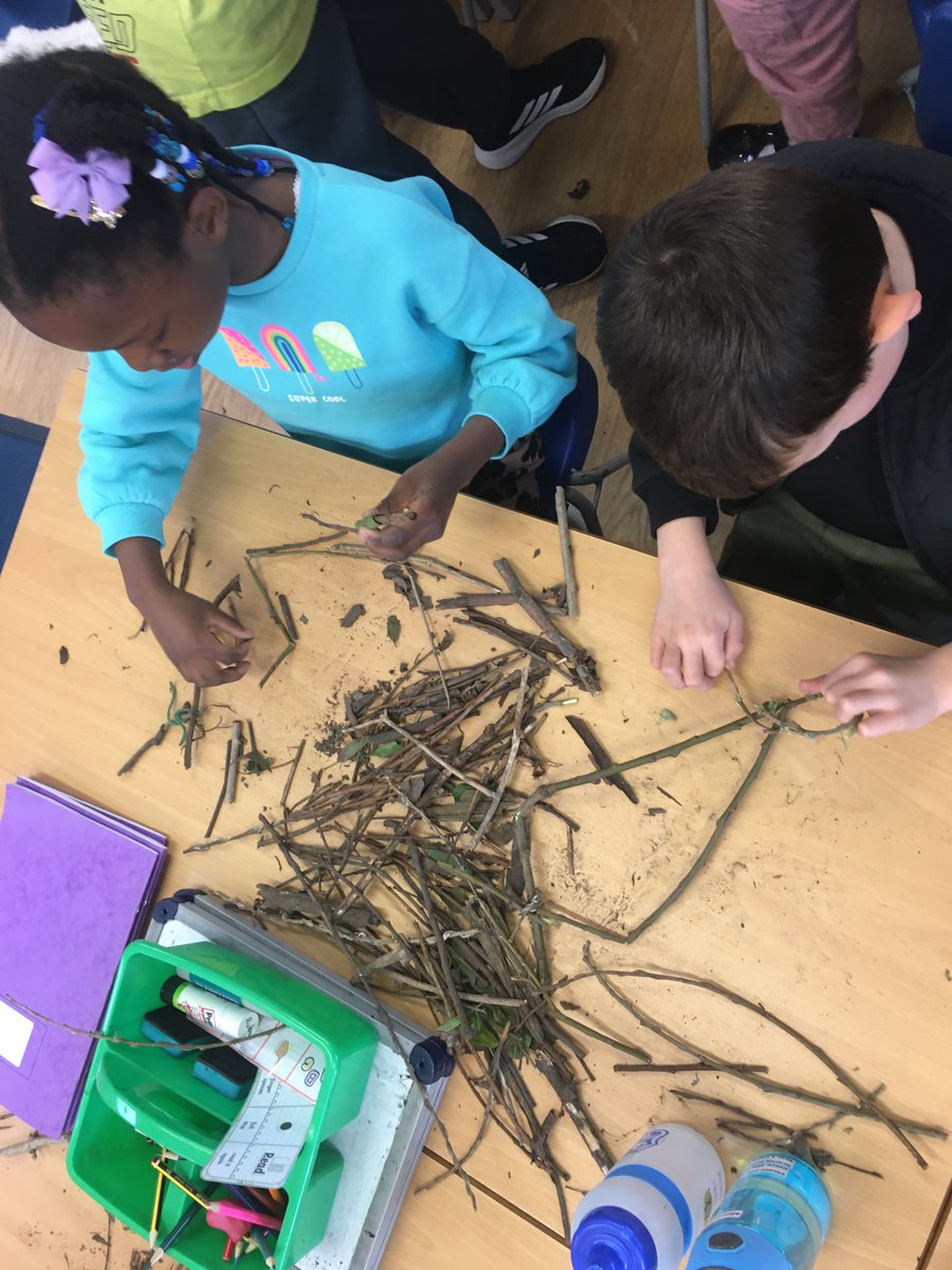 ststephenscps's tweet photo. #year1 have been #curious this Science Week about which materials are best for building a bird's nest. #creation #investigation #scienceweek2026 https://t.co/E6I97cpFgR