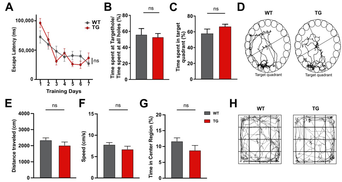 Non-Coding RNA tweet media
