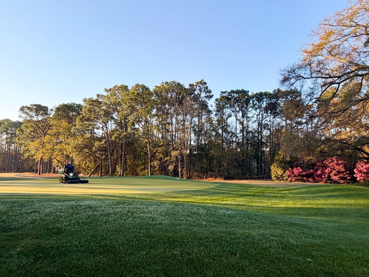 Myrtle Beach Trips tweet media