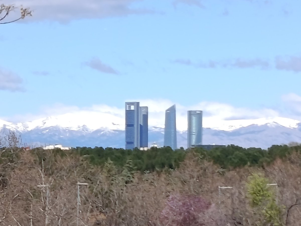 Football Pirate tweet media