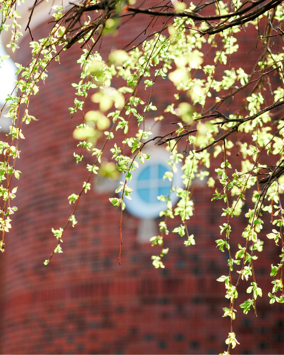 Southern Seminary tweet media