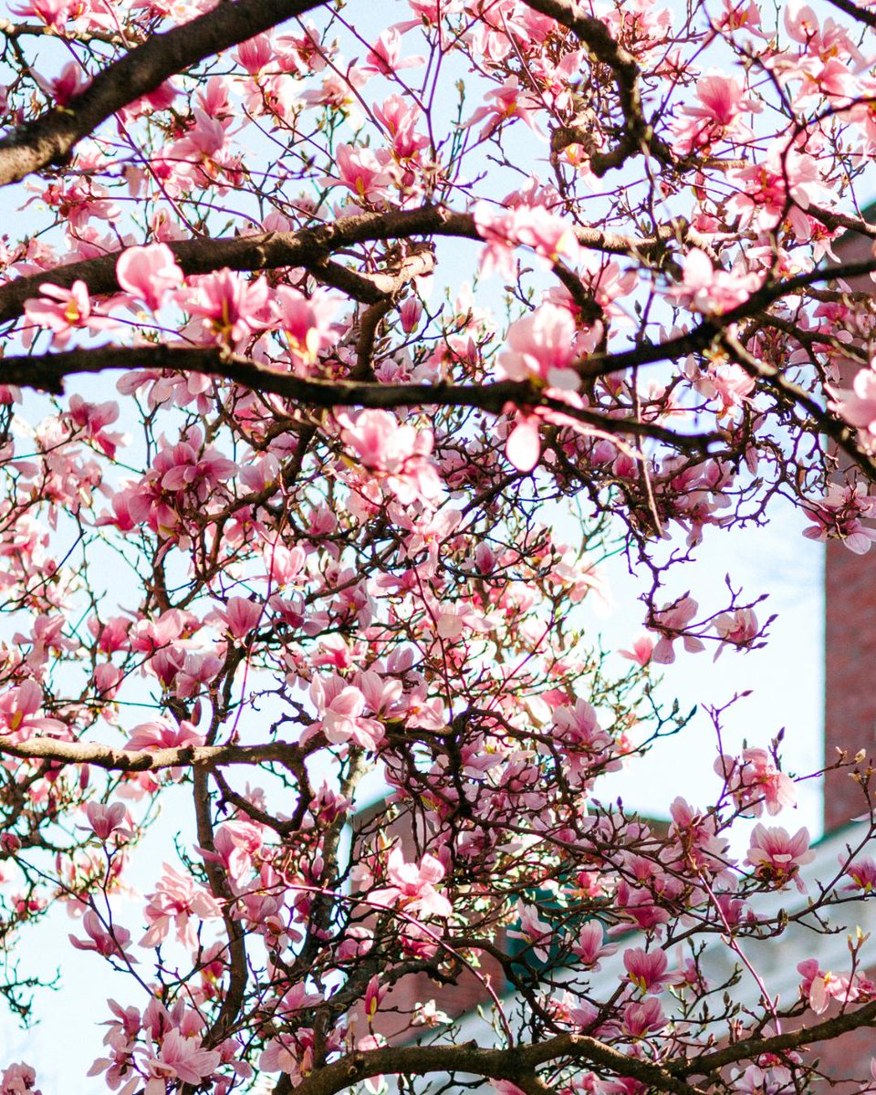 Southern Seminary tweet media