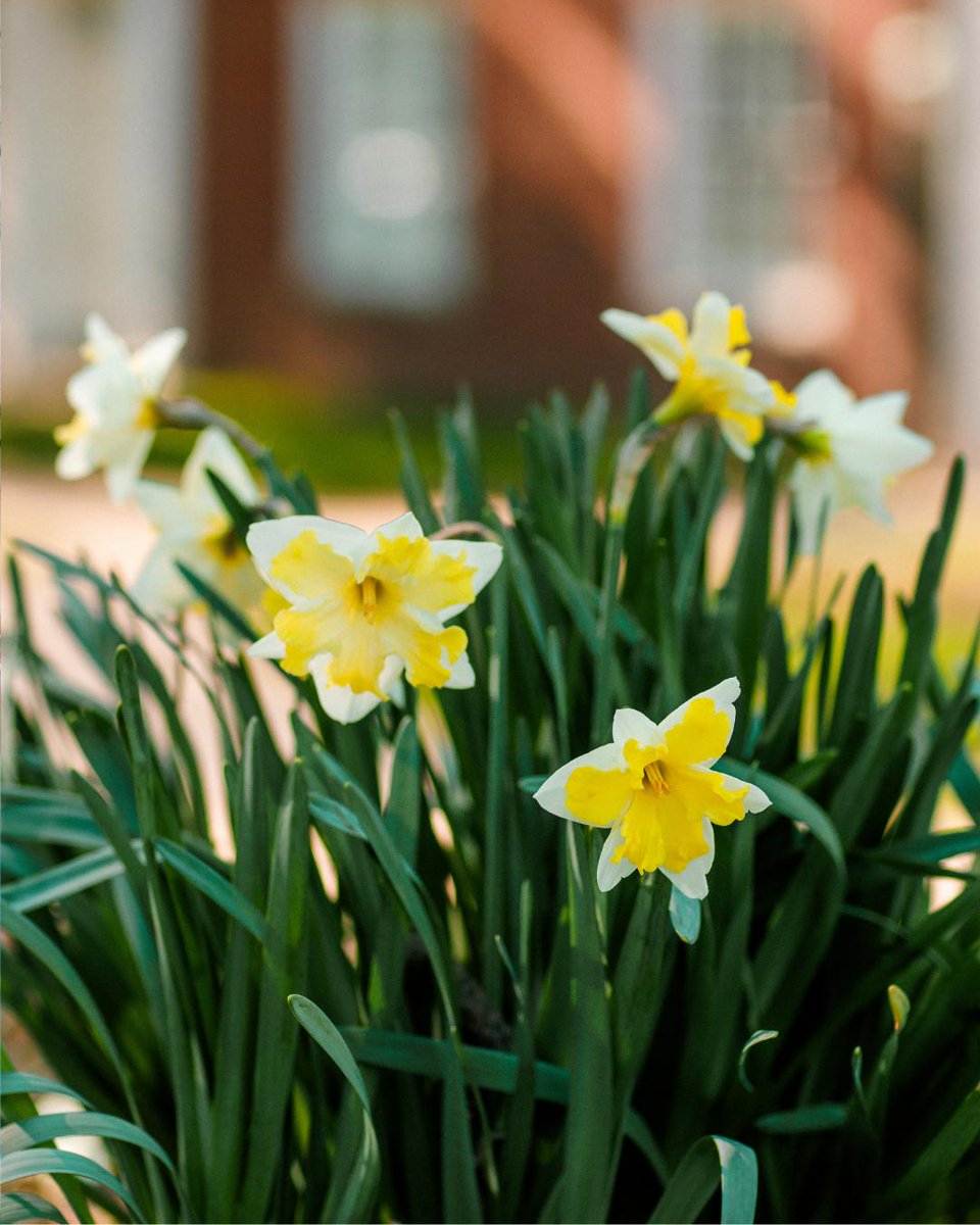 Southern Seminary tweet media