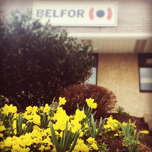 BELFOR tweet media