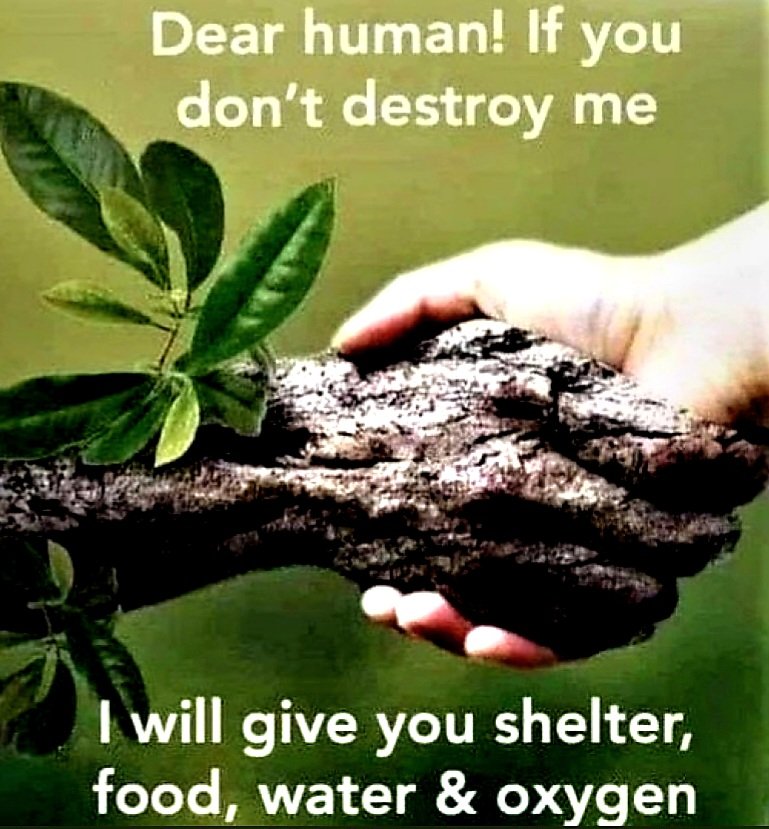 Thursday tweet media