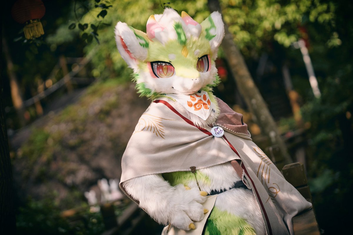 悠人youren🐾 tweet media