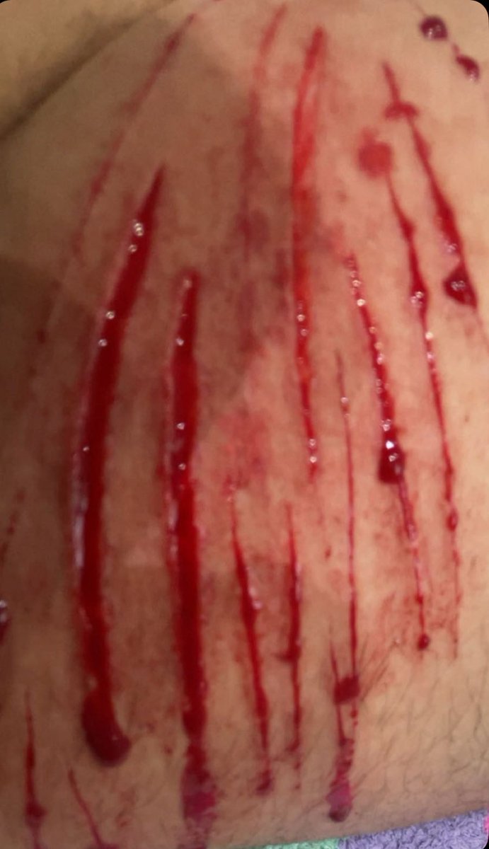 dr cameron of shedtwt tweet media