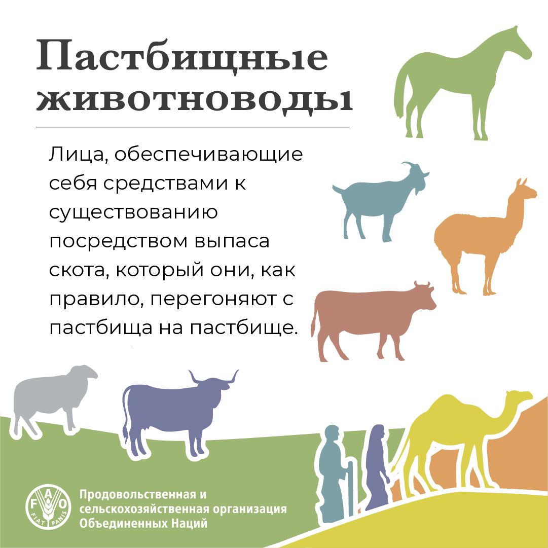 ФАО на русском tweet media