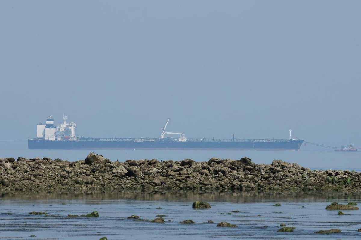 CODEPINK tweet media