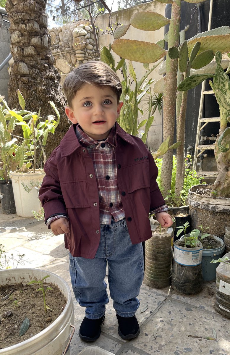 daGazan 🇵🇸 tweet media