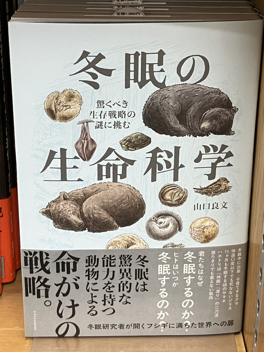 ジュンク堂書店池袋本店 理工書担当 tweet media