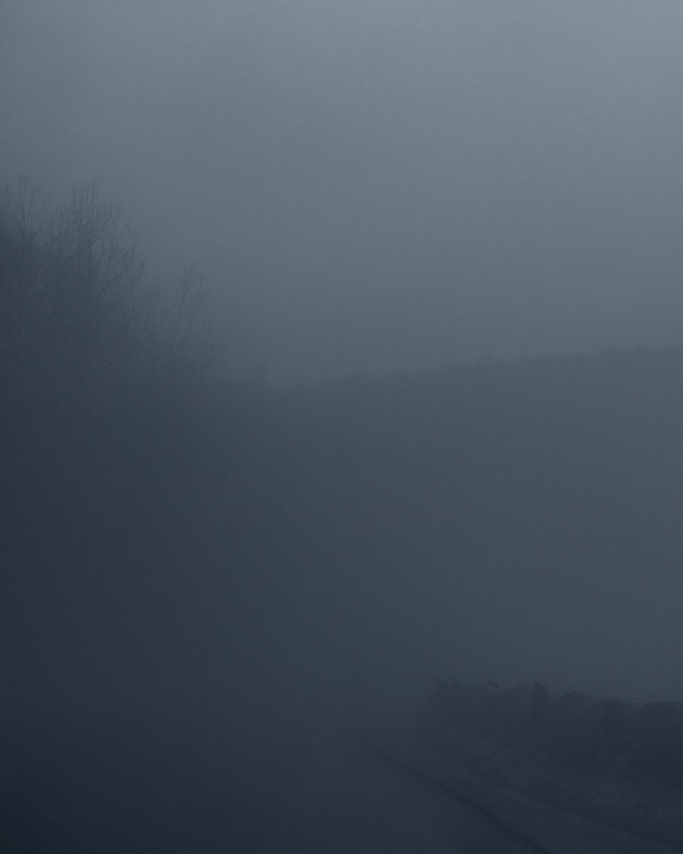 Loki Highlock tweet media