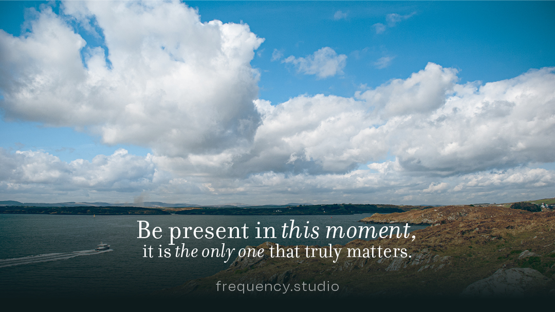 Liam Fitzgerald / frequency.studio tweet media