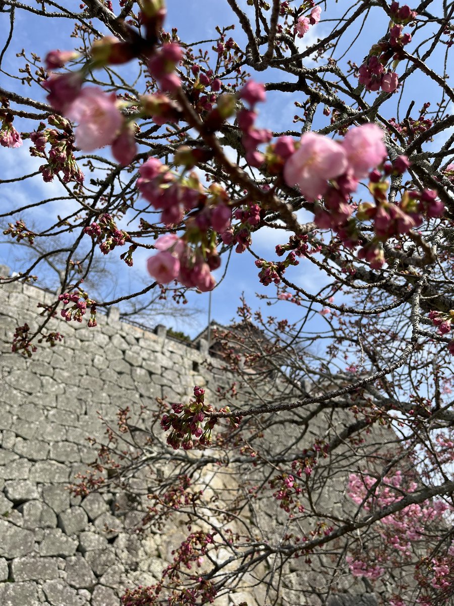 hanasora tweet media