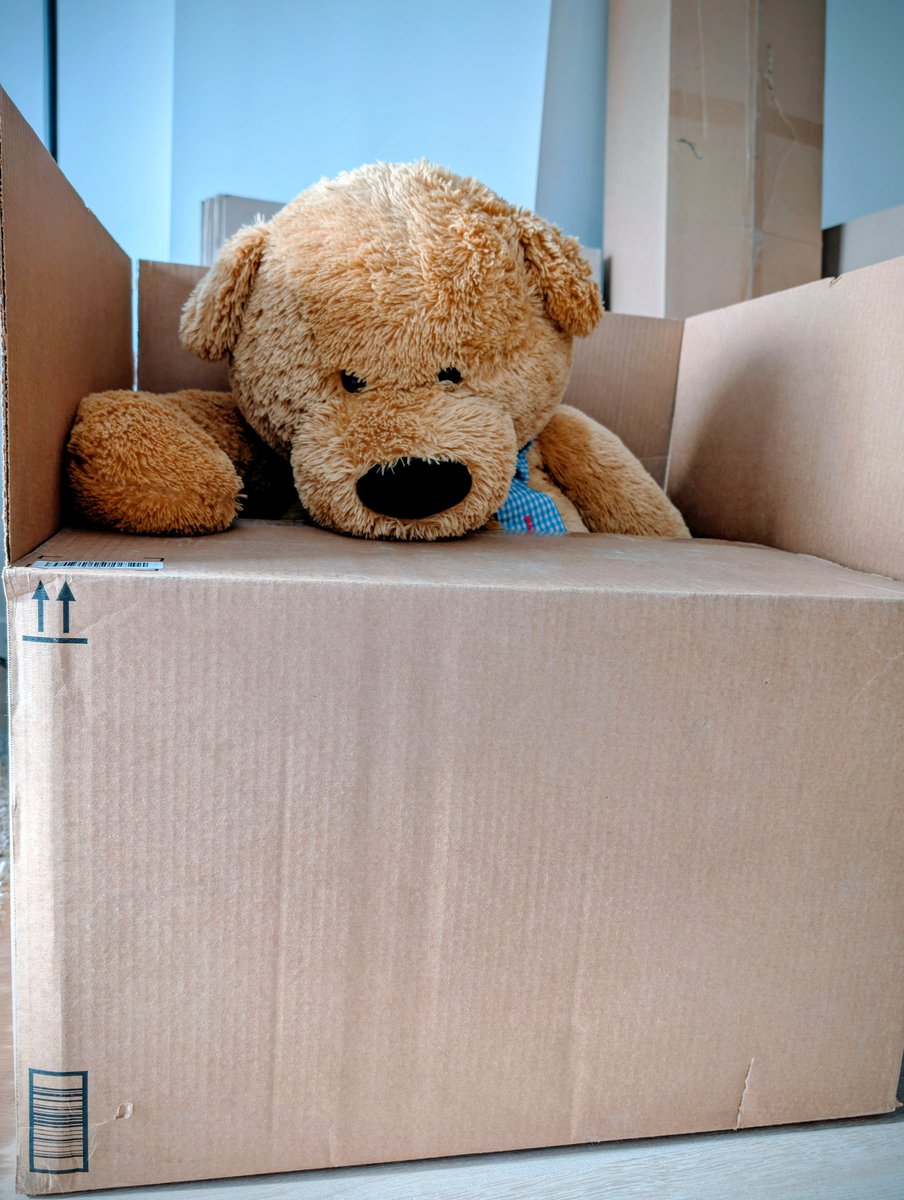 MtlCub77's tweet image. The packing is getting REAL.
🐻 Martineau has officially claimed his throne for the weekend until Key Day on Monday! 

I’m relying heavily on my @madebygoogle tech (especially @GeminiApp ) to keep the logistics in order through the chaos.
#GooglePixel #teampixel #moving #montreal