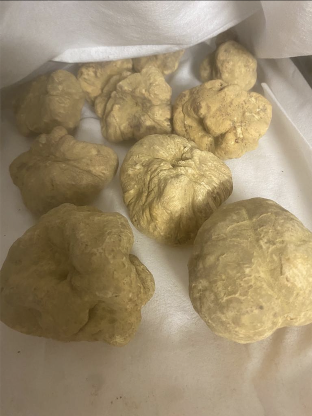 Anthony Vautrelle tweet media