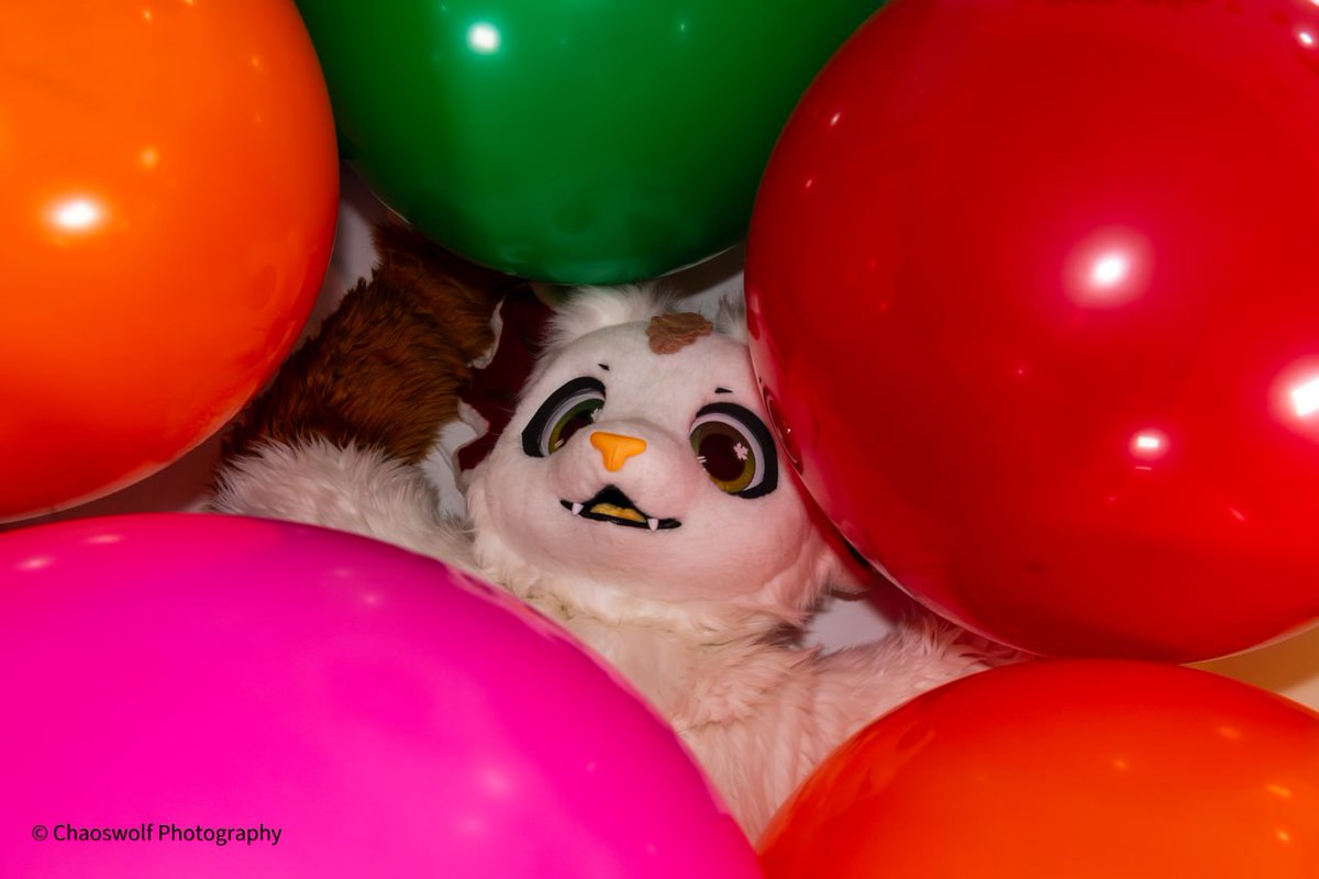 Chaoswolf Photography tweet media