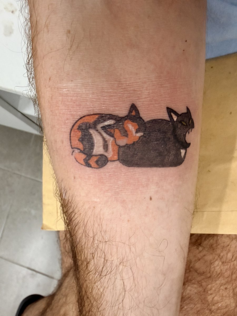 יהושפט החתול האנטיפת tweet media