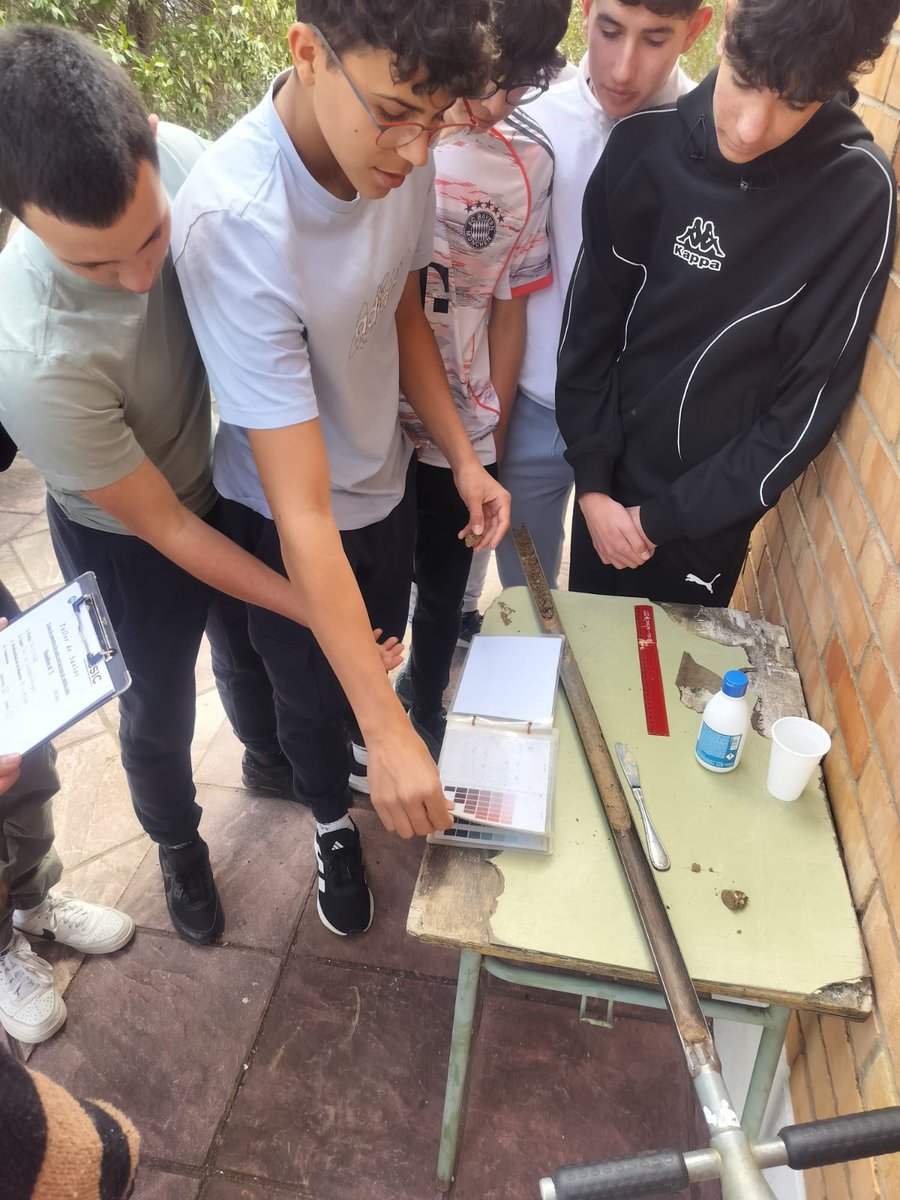 IRNAS Sevilla tweet media