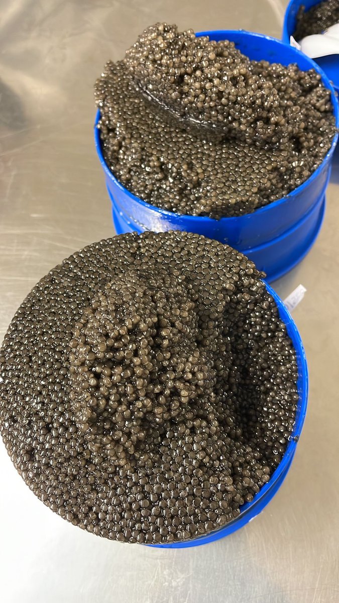 Anthony Vautrelle tweet media