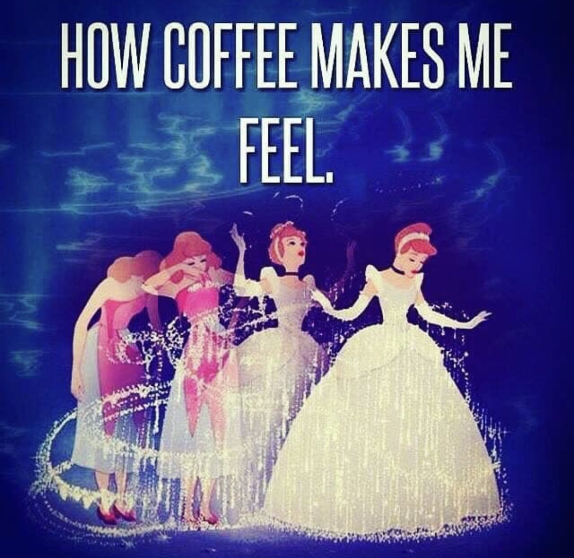 Kimberly Toureiro tweet media