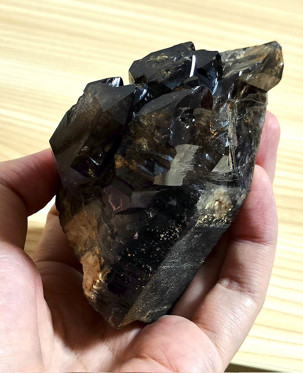 りかたん tweet media