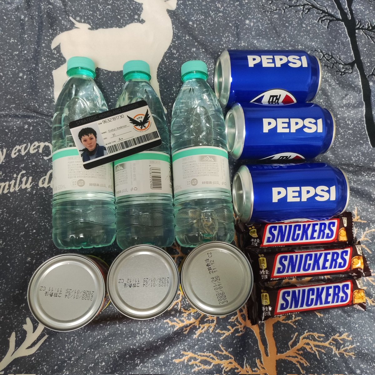 Callsign_Prism's tweet photo. Agent's Daily:
Went out and bought some bottled water, soda, canned food, and chocolate bars today.
#DivisionAgent #TheDivision 
By the way, does anyone know what's on the back of agent's ID card? https://t.co/FFOFaX1PCX