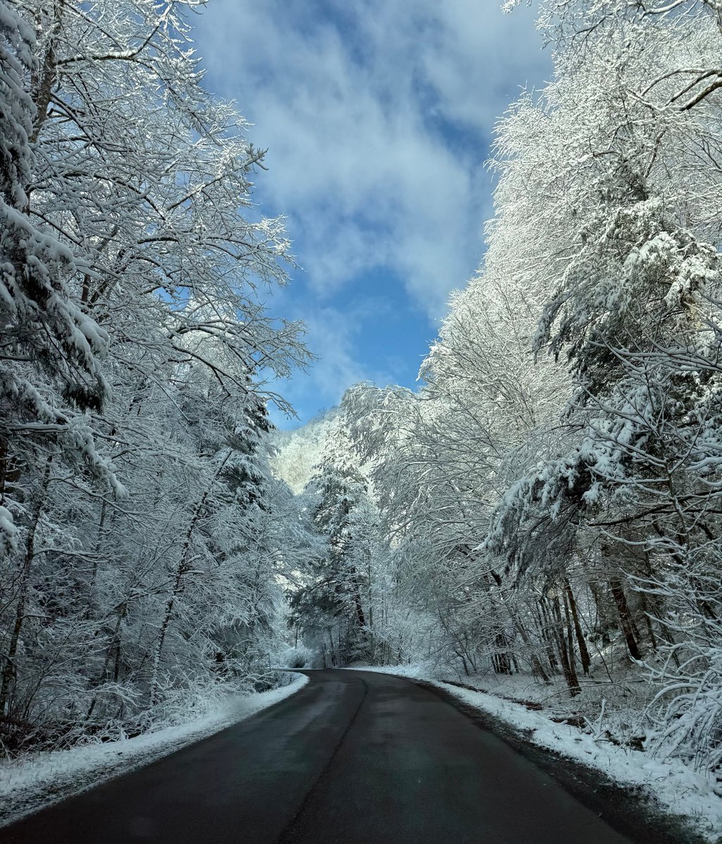 David Boyd tweet media