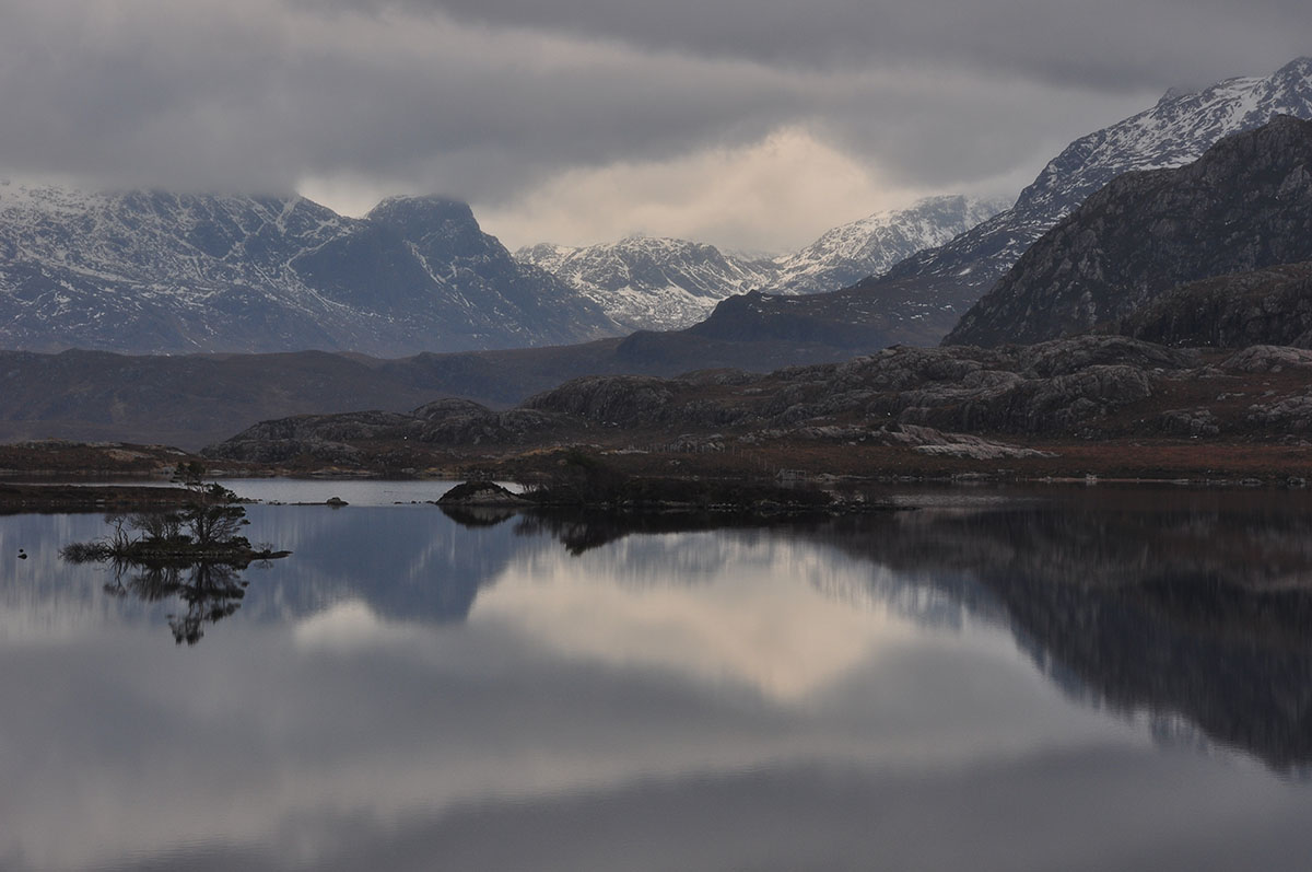 kinley faescotland tweet media