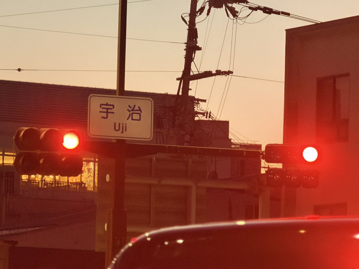 しんおた tweet media