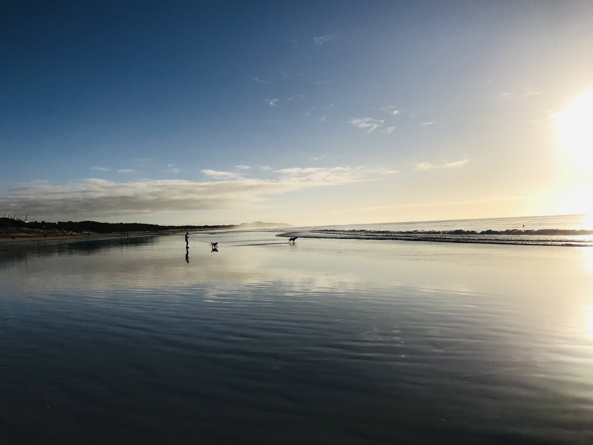 freeman f tweet media