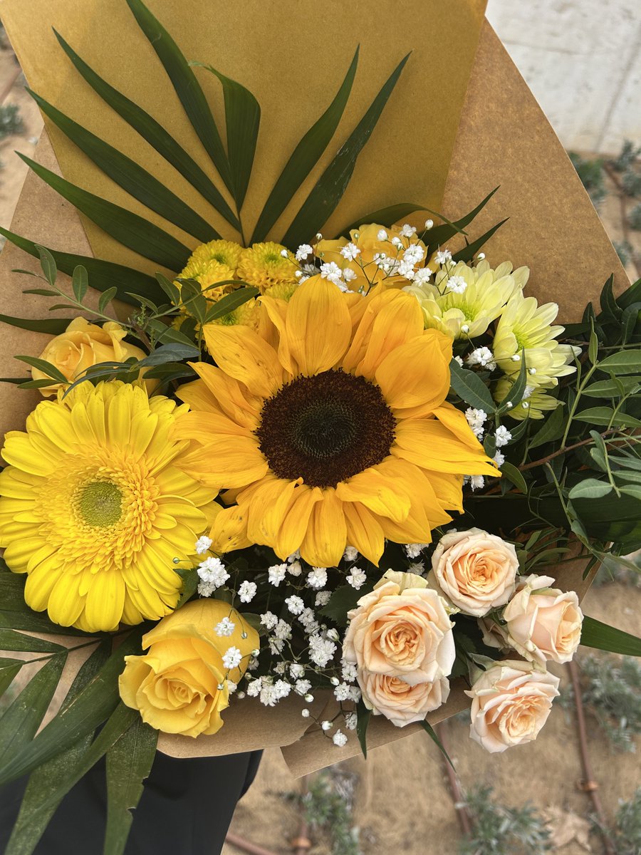 AvoKrys's tweet photo. Comienza la primavera y llega mi chico con sus flores amarillas, eres absoluta magia ✨🌼🌻💐✨ Imposible quererte más mi precioso!!! ✨💚🥑🍀✨ @Luffy1uP https://t.co/L1HeV9HOF2