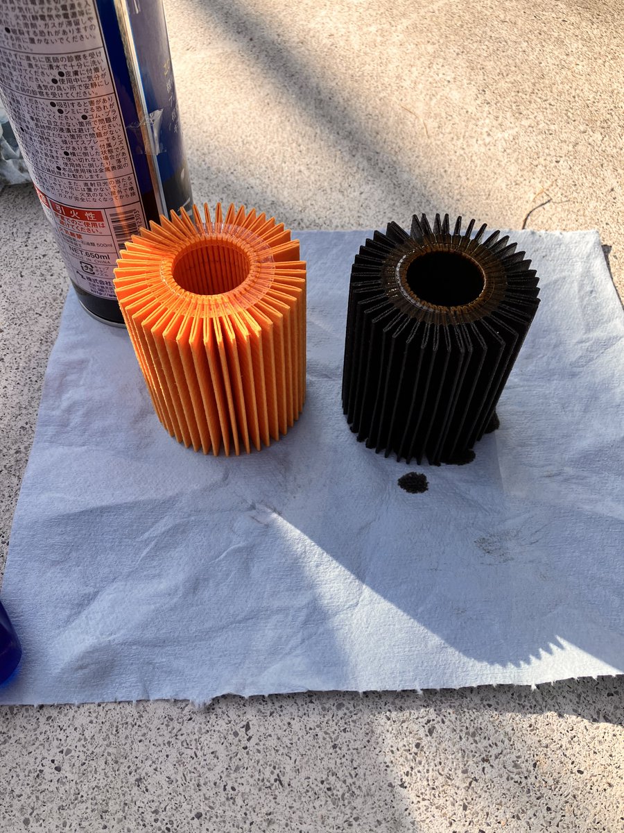 ハム太郎🌴 tweet media