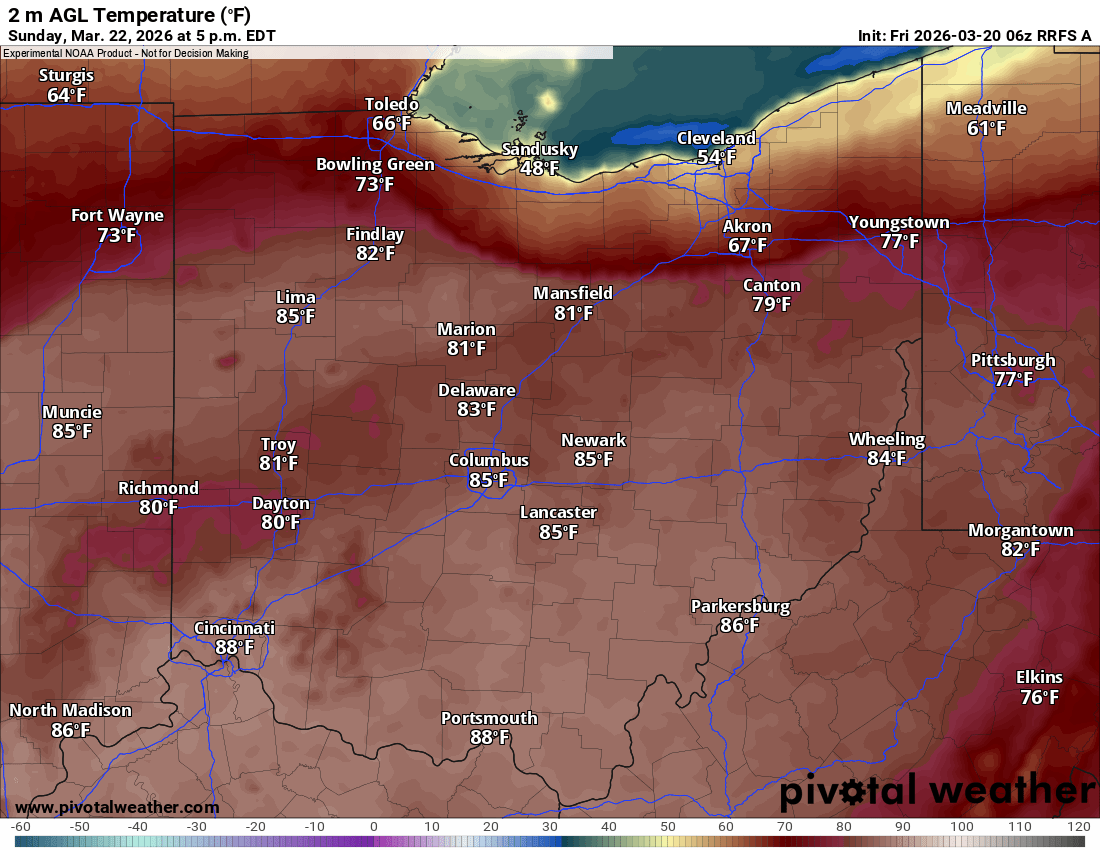 Tyler Sebree ⚡️ tweet media