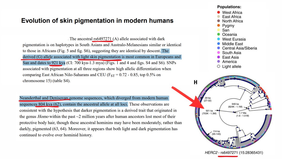 Compelling Archaeology tweet media